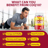 Ciaceae CoQ10 Gummies 400mg with Adaptogenic Mushroom Blend