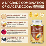 Ciaceae CoQ10 Softgel Capsules opened showing softgel