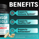CIVIMUNA Graviola Turmeric Supplement ingredients list