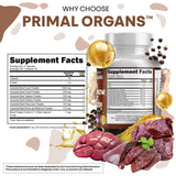 Clean Nutraceuticals Beef Liver Capsules 3000mg ingredients list