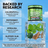 Clean Nutraceuticals Chlorophyll Capsules back view with ingredient list