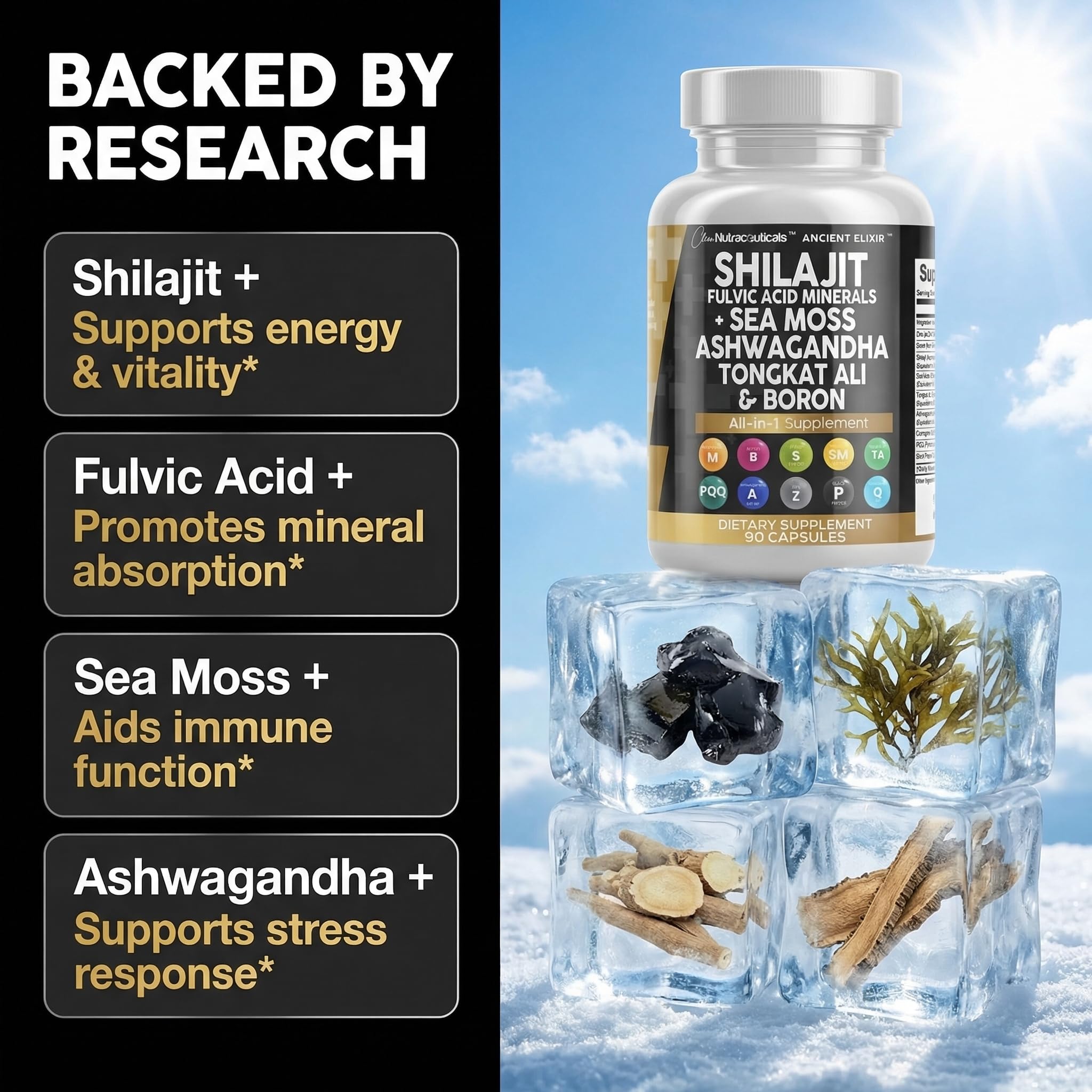 Clean Nutraceuticals Daily Shilajit Supplement 90 capsules with ingredients list