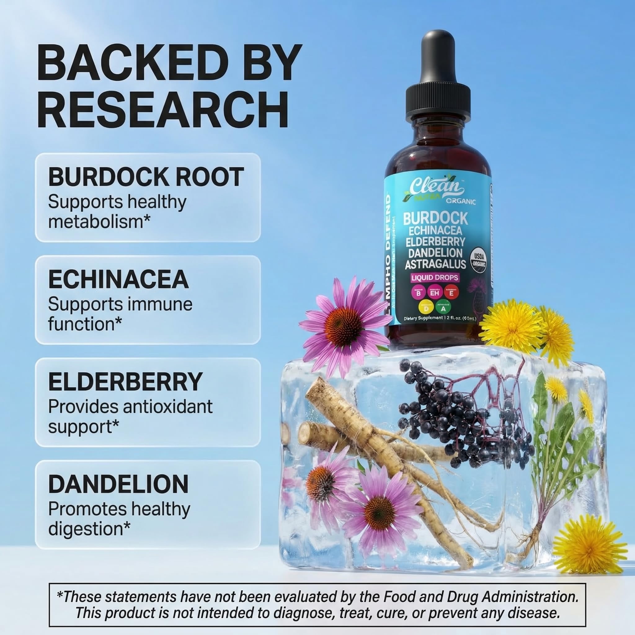 Clean Nutraceuticals Echinacea Liquid Drops ingredients close-up
