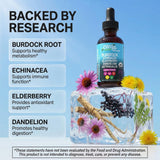 Clean Nutraceuticals Echinacea Liquid Drops ingredients close-up
