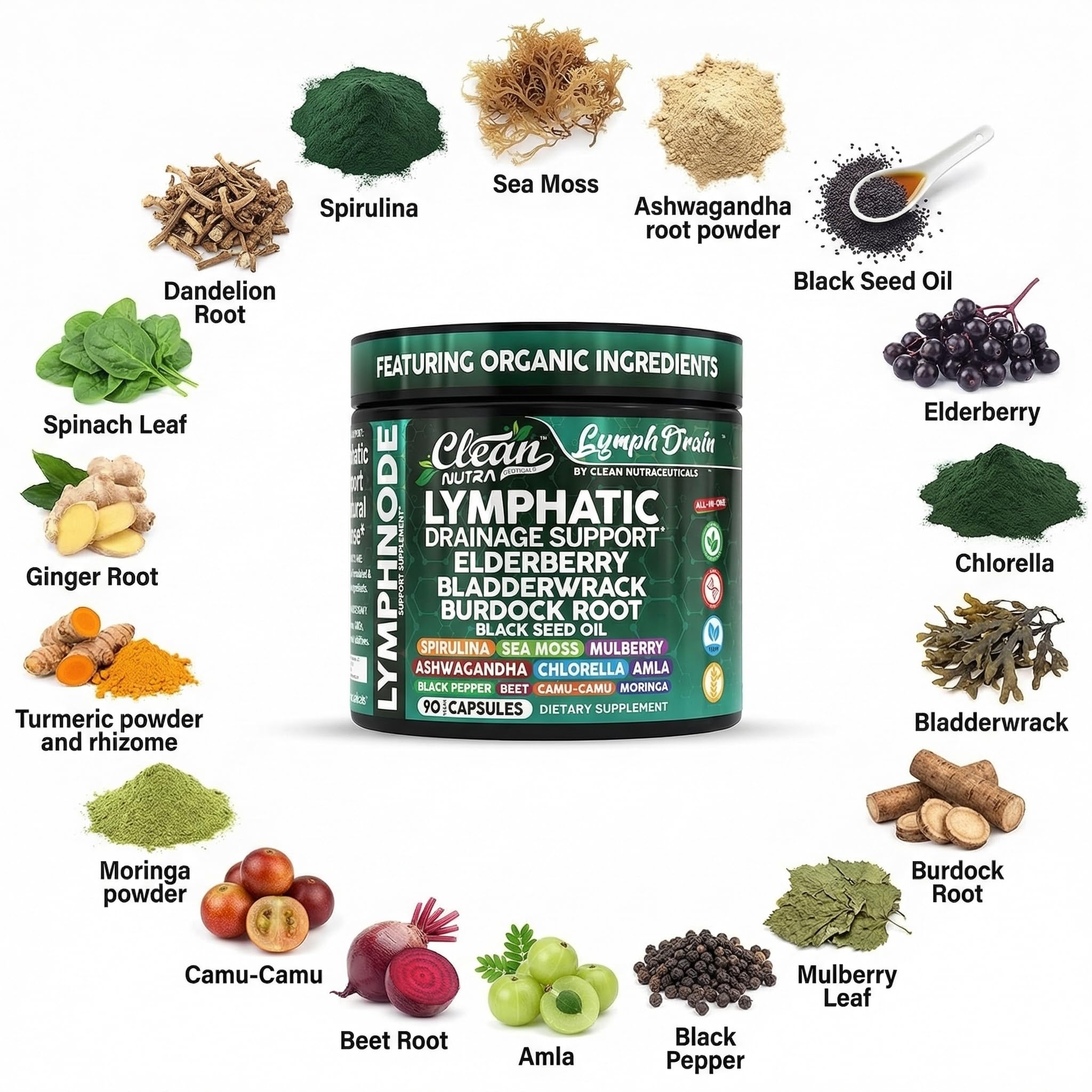 Clean Nutraceuticals Elderberry Lymphatic Drainage Capsules ingredients list