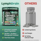 Clean Nutraceuticals Elderberry Lymphatic Drainage Capsules with herbal background