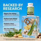Clean Nutraceuticals GI Defend supplement back view