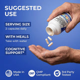 Clean Nutraceuticals Ginkgo Biloba Nootropic ingredients list