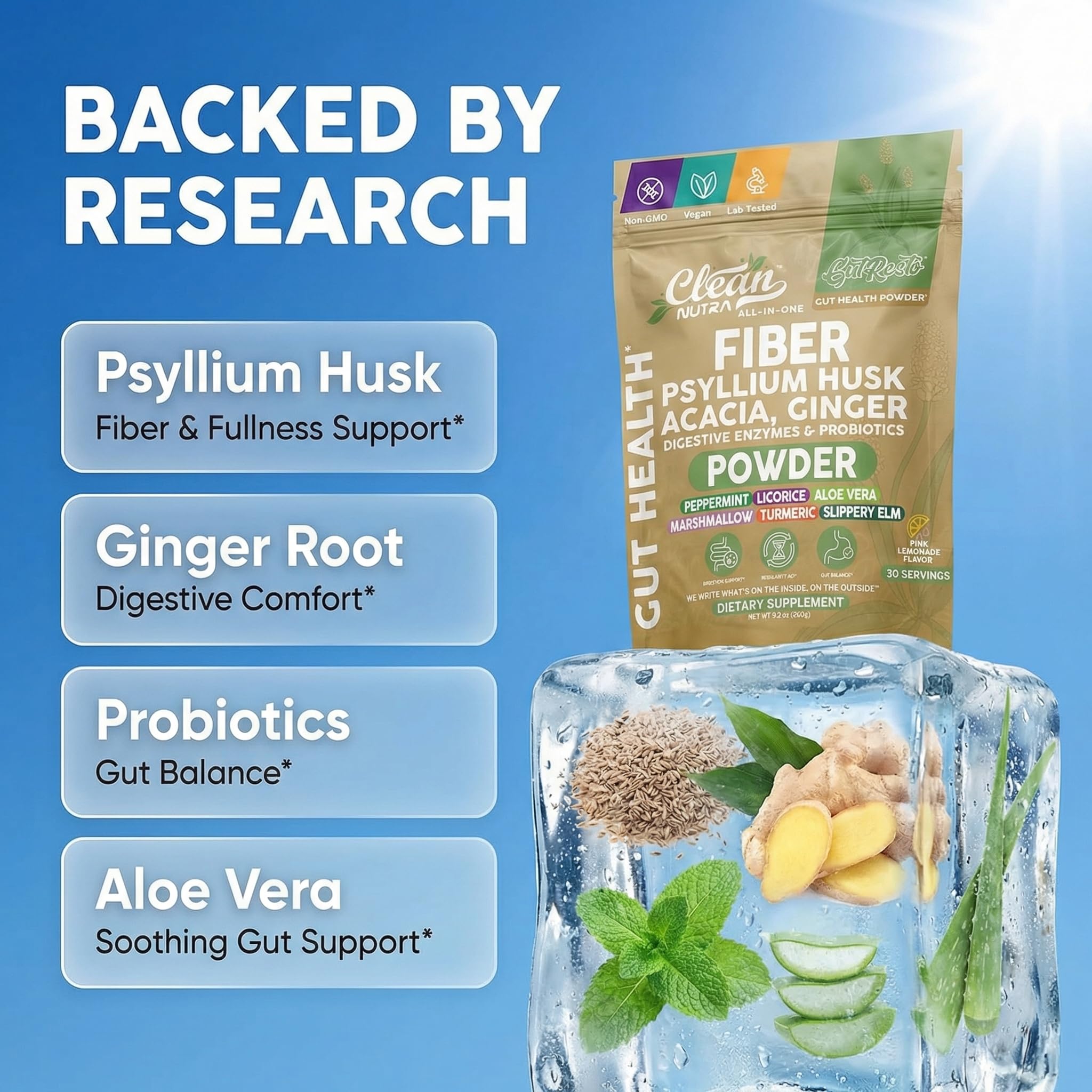 Clean Nutraceuticals GutResto Daily Fibre Powder scoop