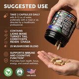 Clean Nutraceuticals Lion's Mane Mushroom Complex ingredients list