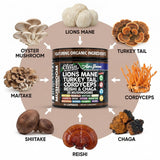 Clean Nutraceuticals Lion's Mane Mushroom Complex with capsules
