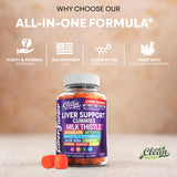 Clean Nutraceuticals Milk Thistle Gummies with a glass of water