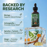 Clean Nutraceuticals Moringa Drops 2 fl oz dropper close-up