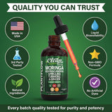 Clean Nutraceuticals Moringa Drops 2 fl oz with measuring spoon