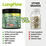 Clean Nutraceuticals Mullein Supplement bottle with herbal background