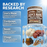 Clean Nutraceuticals Mushroom Powder Supplement scoop with powder