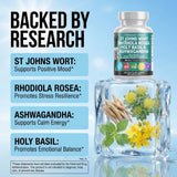 Clean Nutraceuticals Positeava St. John's Wort Supplement capsules