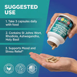 Clean Nutraceuticals Positeava St. John's Wort Supplement with herbal background