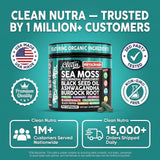 Clean Nutraceuticals Sea Moss Capsules close-up of label details