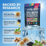 Clean Nutraceuticals Sea Moss Capsules opened bottle with capsules visible