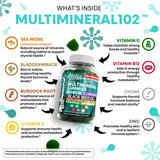 Clean Nutraceuticals Sea Moss Gummy Multimineral Supplement gummies close-up