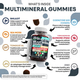 Clean Nutraceuticals Shilajit With Sea Moss Gummies side view