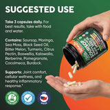 Clean Nutraceuticals Soursop Supplement 100g in lifestyle setting