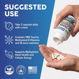 Clean Nutraceuticals TMG Methylated Multivitamin 45g with a measuring spoon