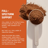 CleanForm Nutrition Collagen Supplement powder in a scoop