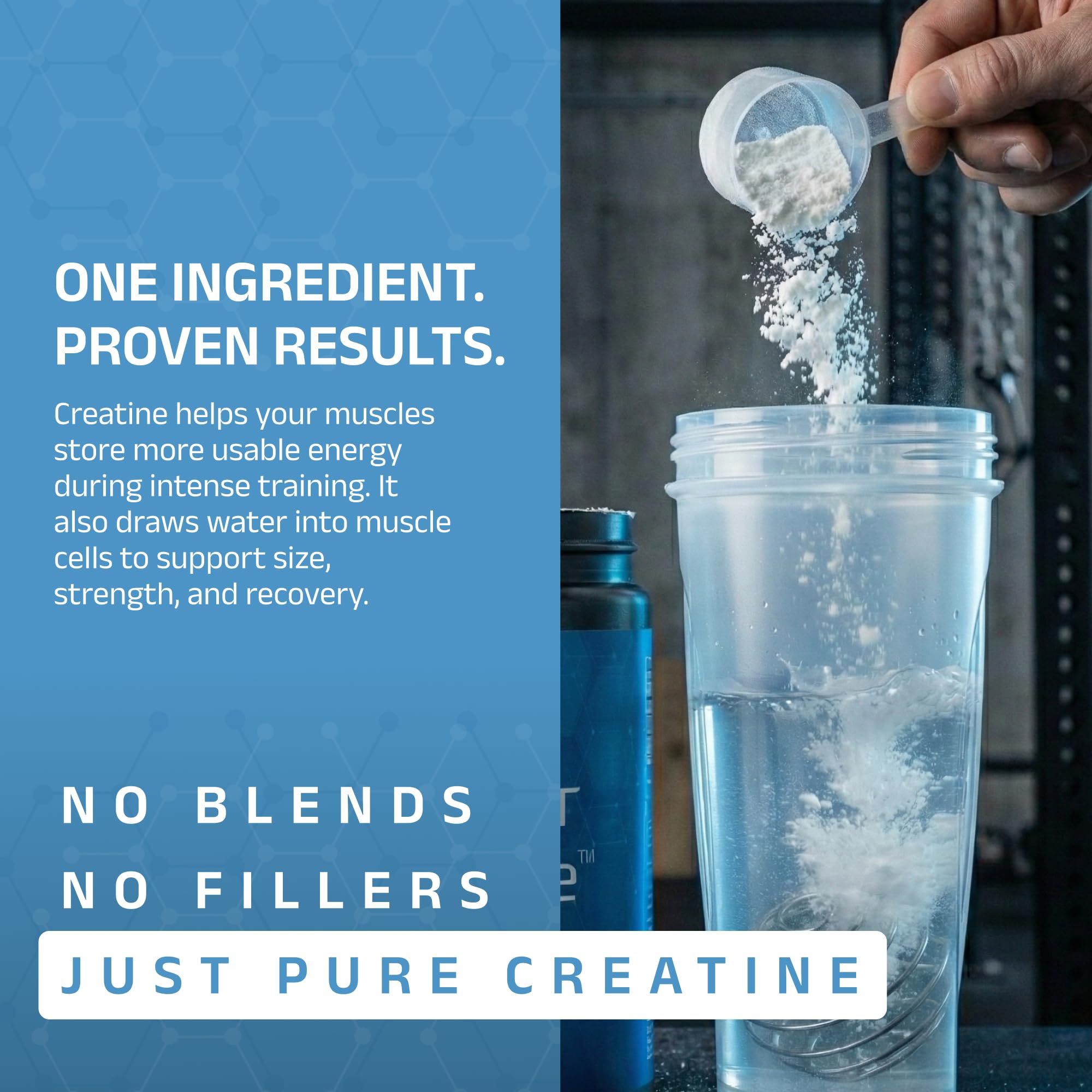 CleanForm Nutrition Purest Creatine 458g unflavoured powder in a scoop