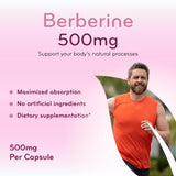 Clear Formulas Berberine 500 mg Supplement back view