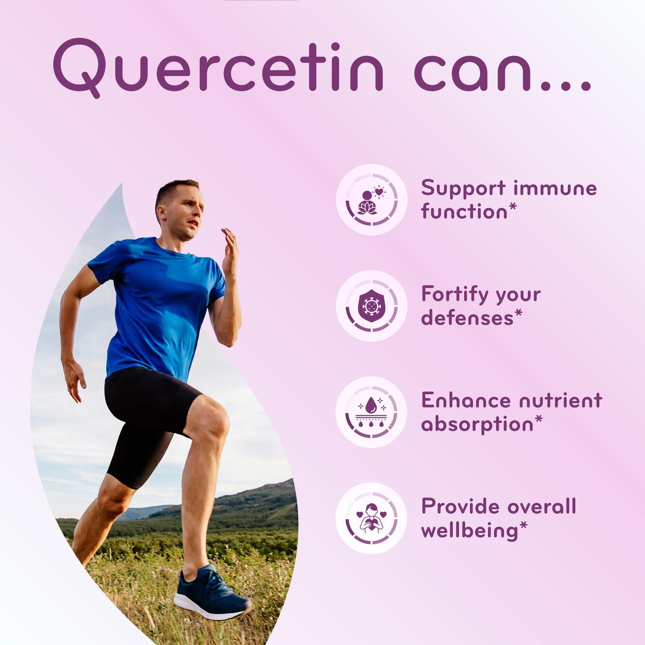 Clear Formulas Quercetin 500mg Capsules ingredients list