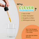 CLEVER MUSHROOMS 6 Blend Multi-Mushroom Liquid Extract lifestyle scene with beverage