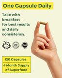 Close-up of Agami Moringa Extract Capsules 400mg