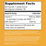 Close-up of American Nutriceuticals Vitamin C Powder texture