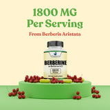 Close-up of American Standard Supplements Berberine HCL capsules