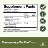 Close-up of American Standard Supplements Organic Ginger Capsules side label