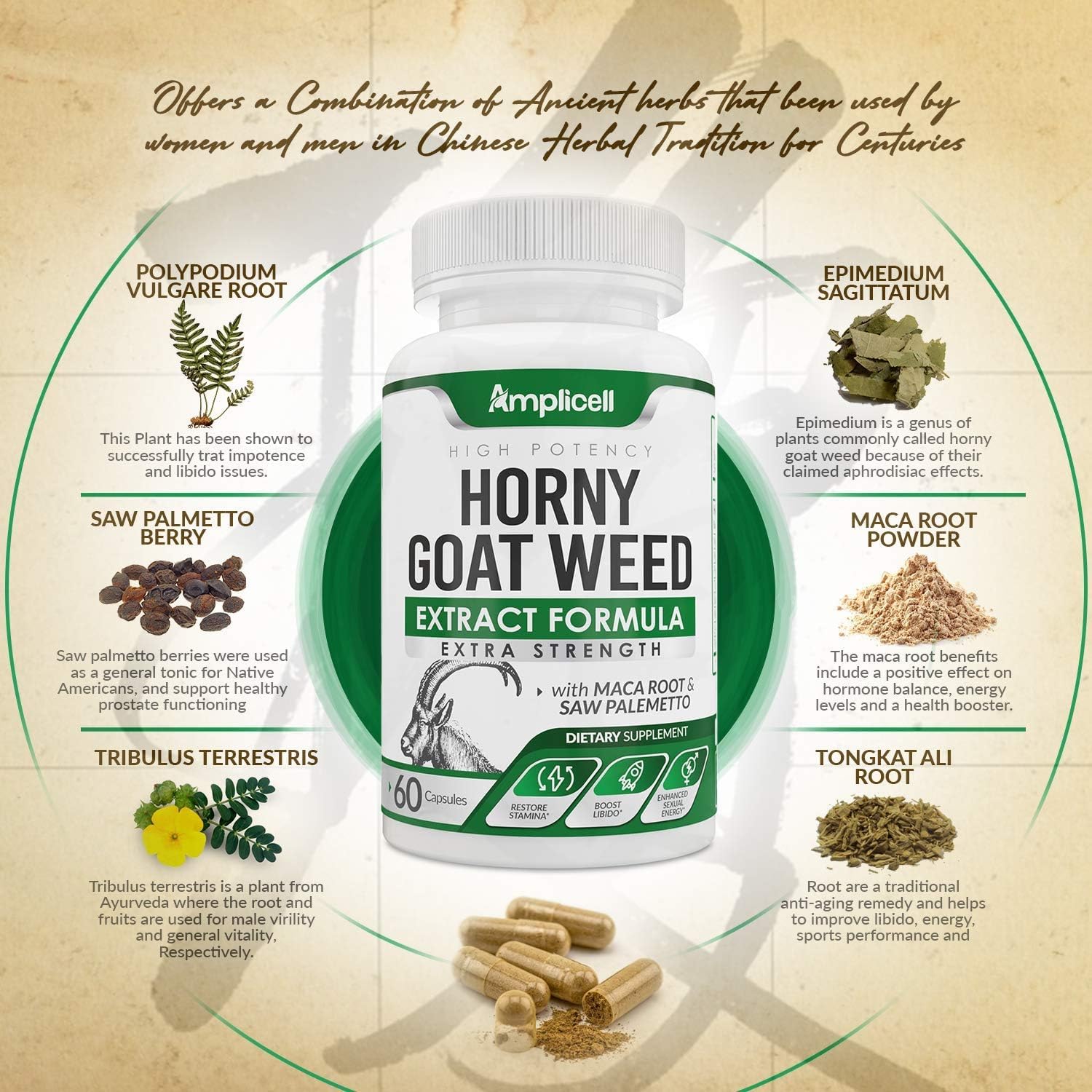 Close-up of Amplicell Dong Quai Herbal Supplement capsules