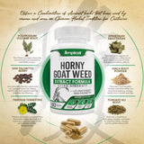 Close-up of Amplicell Dong Quai Herbal Supplement capsules