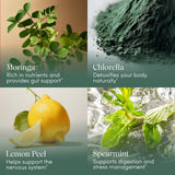 Close-up of Apothékary All-in-One Vitamin & Mineral Support ingredients