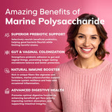 Close-up of aSquared Nutrition Women's Probiotic 50 Billion CFU capsules