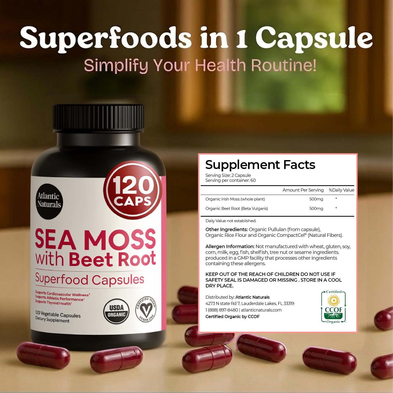 Close-up of Atlantic Naturals Sea Moss Capsules showing capsule details