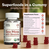 Close-up of Atlantic Naturals Sea Moss Gummies strawberry flavour