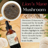 Close-up of Auri Lion's Mane Mushroom Elixir dropper