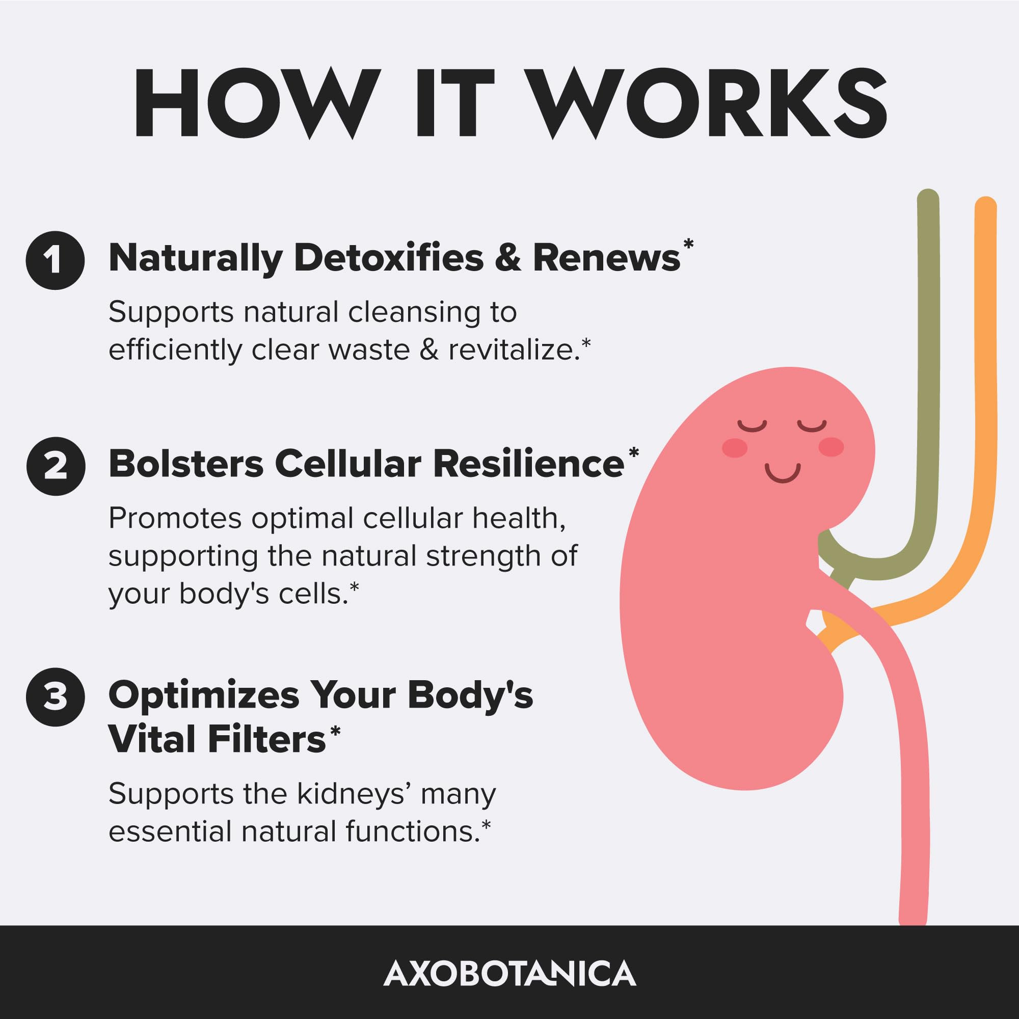 Close-up of Axobotanica Kidney Support Supplement capsules