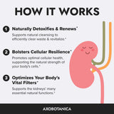 Close-up of Axobotanica Kidney Support Supplement capsules