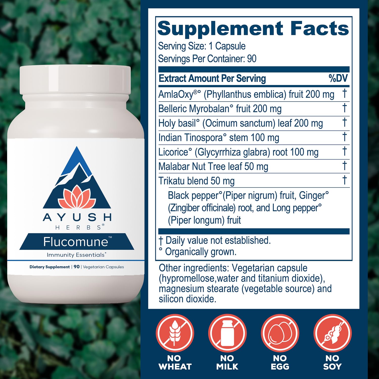 Close-up of Ayush Herbs Flucomune capsules in a hand