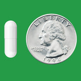 Close-up of Basics Probiotic Capsules showing capsule size
