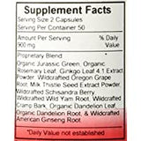 Close-up of Christopher's Original Formulas Liver Transition Formula capsules