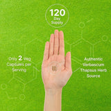 Close-up of DEAL SUPPLEMENT Mullein Leaf Extract capsules